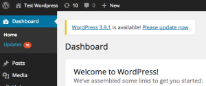 Automatic WordPress Core, Plugin and Theme Updates